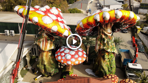 Vista de pájaro de siete hongos gigantes inflables instalados frente a la fábrica de Disco Designer en Bulgaria. El hongo más grande tiene 13 metros de altura. Los productos inflables se ven fantásticos pero reales con un acabado colorido. Parece 'Alicia en el país de las maravillas'.